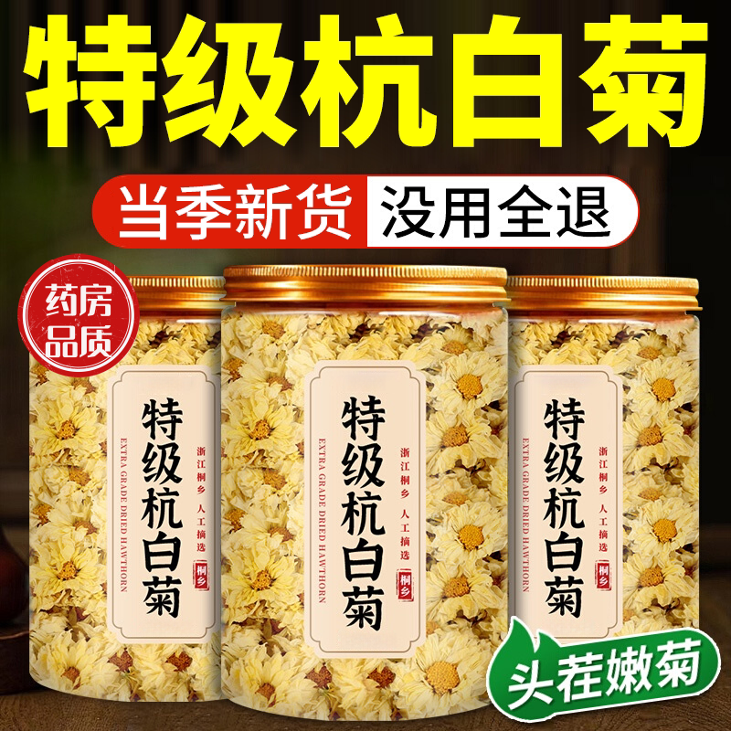 专用菊花茶去火清热排毒官方旗舰