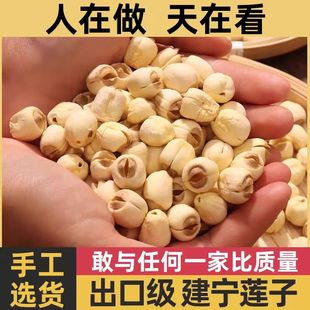 当季去芯新白莲大粒白莲子干货500g磨皮白莲建宁特产现磨白莲新货