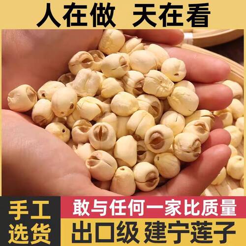 建宁现磨去芯大粒白莲子
