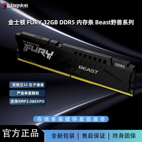 金士顿FURYDDr5560032G