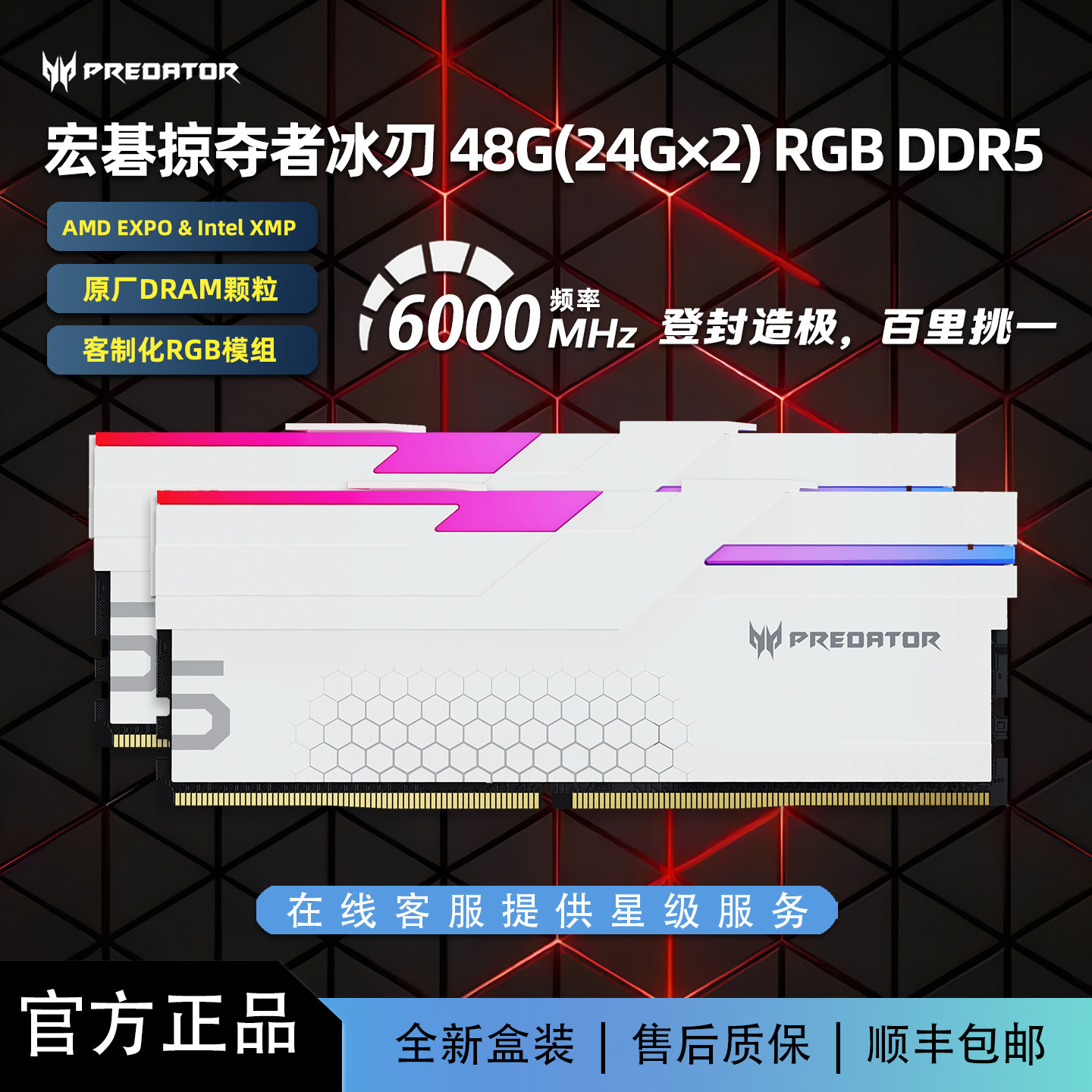宏碁掠夺者冰刃48G(24G×2)DDR5图片
