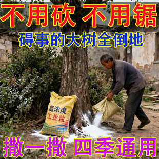 强力烂根粉大树竹子杂草专用清理粉剂枯树王烂根腐蚀根剂神器