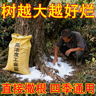 强力烂根粉大树竹子杂草专用清理粉剂枯树王烂根腐蚀根剂神器