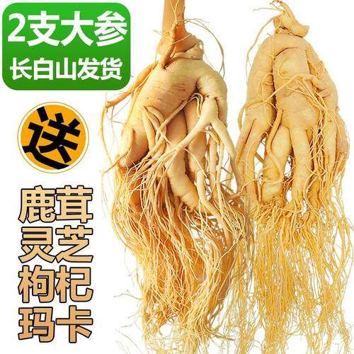 圆耳牛长白山人参煲汤泡酒鲜人参