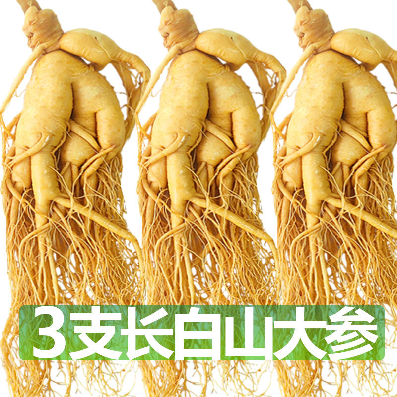 正宗长白山人参鲜人参泡酒药材煲汤滋补东北人参保鲜参好品质