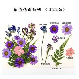押花器混合干花压花板手工diy工具材料包植物标本制作相框书签