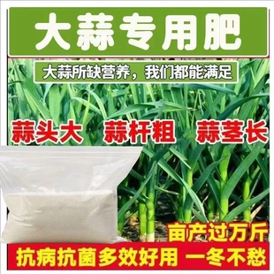农用肥料蔬菜瓜果大蒜肥膨大素防干尖防病害增产粗壮生根发根专用