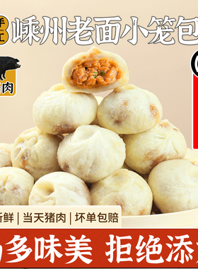 黑猪肉嵊州小笼包手工老面儿童营养早餐速食速冻半成品家用鲜肉包
