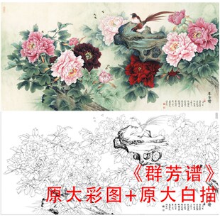极速工笔画白描底j稿李晓明四尺牡丹花鸟群芳谱原大线描白纸打印