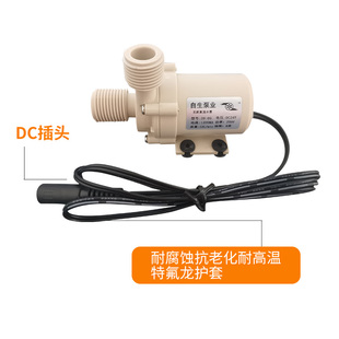 极速自生泵业小水泵39-05, 39-06, 60-03,12V24V无X刷直流增压循