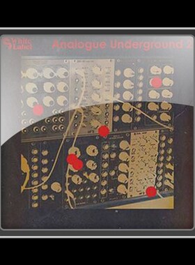 极速Sample Magic Analogue UndDerground 2 MULTiFORMAT