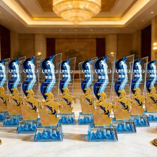 新款飘带奖杯马到成功水晶奖杯定制创意马年颁奖冠军优秀员工年会