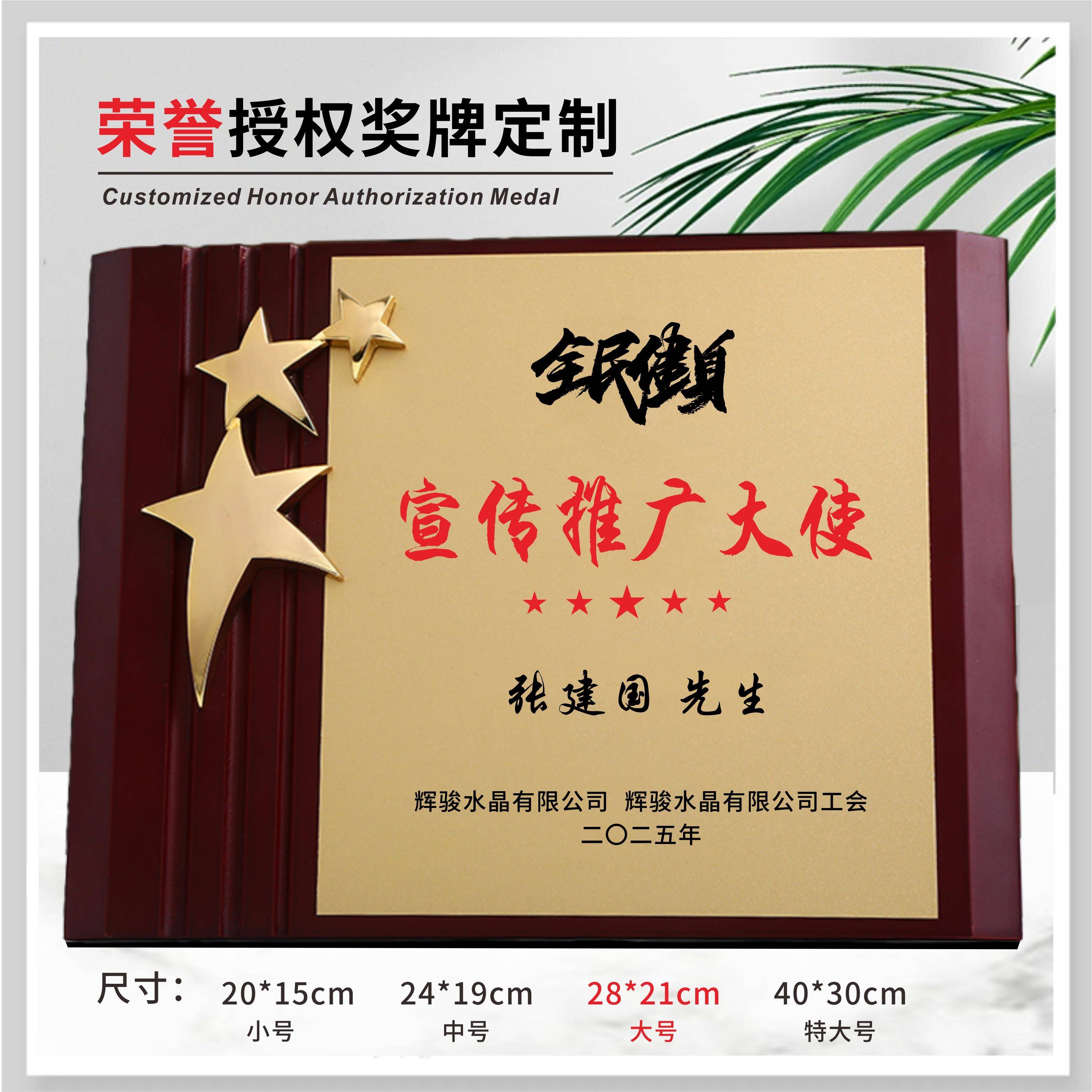 五角星奖牌感谢牌定制高档授权牌医生老师牌匾荣誉捐赠证书纪念品