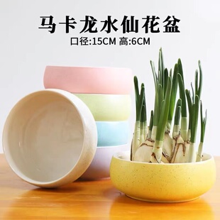 水仙花植物水培盆金钱草碗莲郁金香巴西木水养容器皿马卡龙陶瓷盆