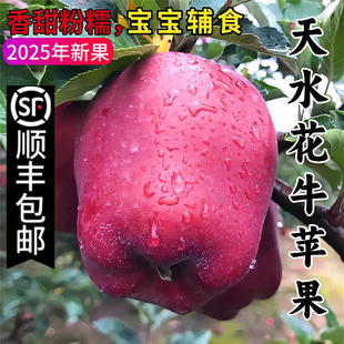 顺丰天水花牛苹果10新鲜水果宝宝脆甜当季红蛇粉面刮泥孕妇包邮