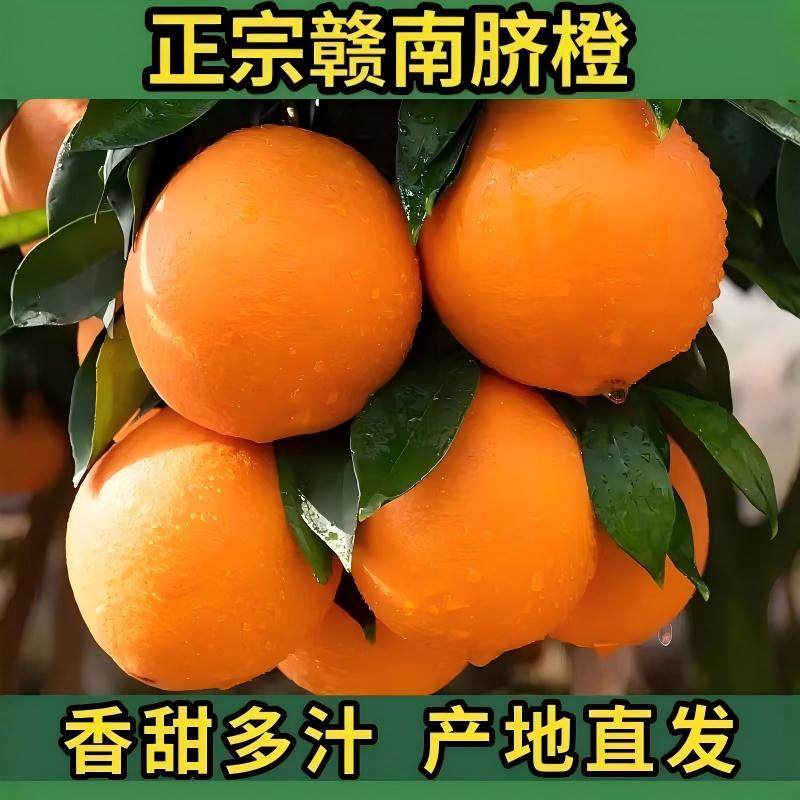 正宗赣南脐橙新鲜水果橙子当季手剥果冻橙子冰糖甜橙大果整箱包邮,水产肉类/新鲜蔬果/熟食,橙,淘宝优惠券,粉丝福利购,淘宝优惠卷