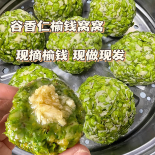 谷香仁榆钱窝窝头槐花窝窝榆钱新鲜2025当季榆钱子树馒头早餐速食
