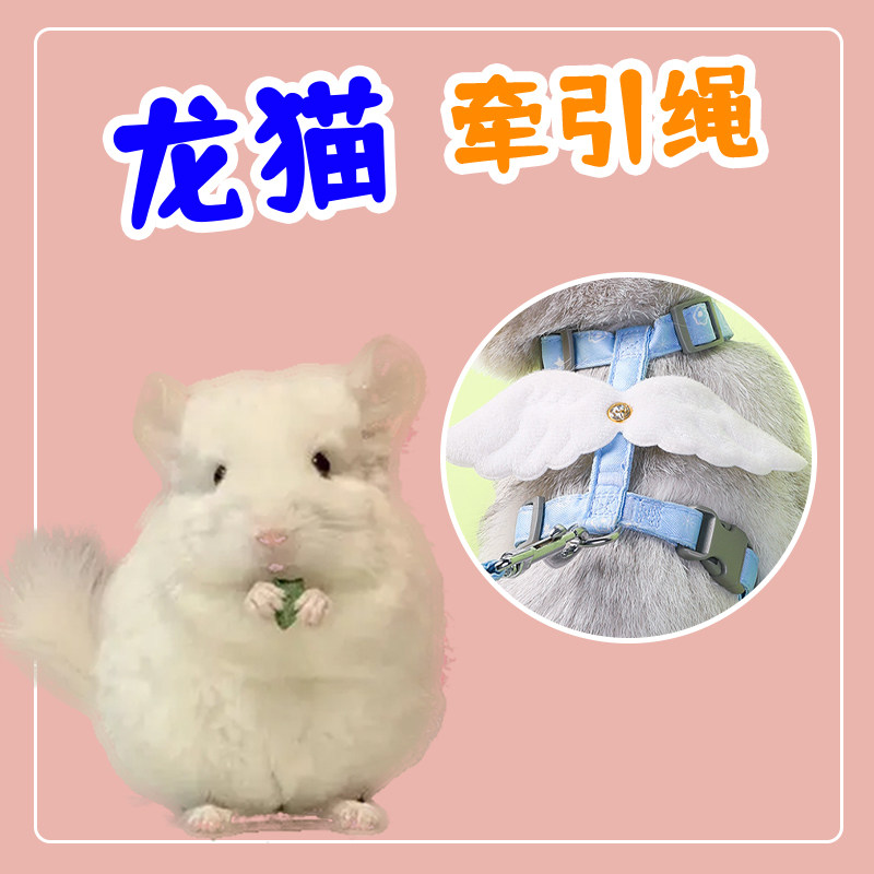 龙猫牵引绳外出专用可调节伸缩遛溜防挣脱外带外带绳小型宠物用品