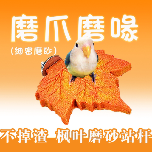 鹦鹉枫叶磨砂站杆不掉渣磨爪棒玄凤虎皮磨喙站架互动站台鸟笼配件