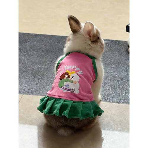 多巴胺兔子衣服垂耳兔侏儒兔安哥拉兔荷兰猪连衣裙潮流宠物服饰