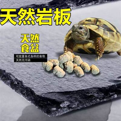 乌龟喂食台黄缘半水龟晒台守宫蜥蜴爬宠脱皮石板角蛙饲养箱岩石板
