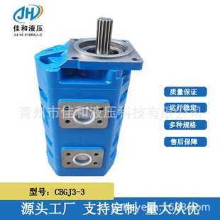 渔船高压双联齿轮泵CBGJ3160 齿轮泵 3160 游艇游船增压泵