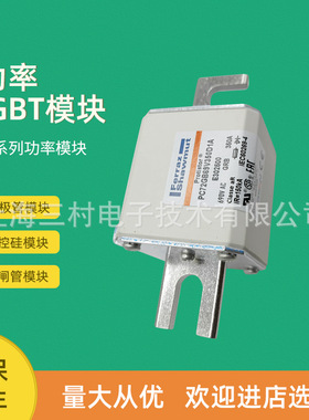 全新熔断器保险PC72GB69V250TF G301329 PC72GB69V315TF H301330