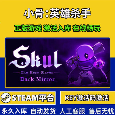 steam小骨英雄杀手激活码