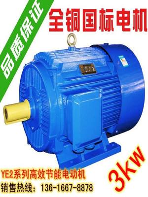 三相异步电动机YE2系列电机全新铜国标Y100L-4极3KW千瓦铜芯380v