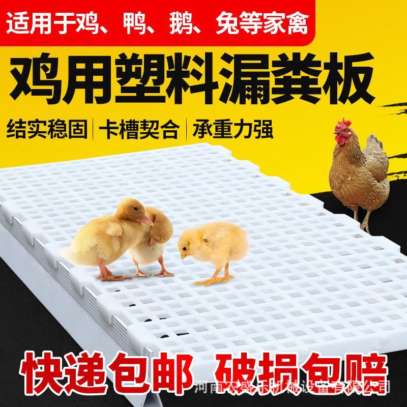 鸡粪漏粪板 鸡鸭鹅m塑料漏粪板PP聚丙烯材质高床式养殖漏屎地板