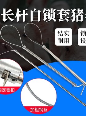 不锈钢长杆套猪器猪保定器铜管套猪绳套拉猪嘴猪套子钢丝抓猪钩子