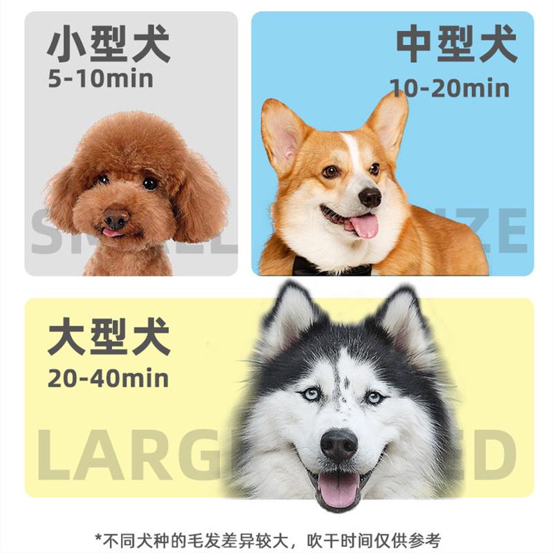 宠物新款吹吸一体吹水机大功率静音带吸尘器狗狗吹风机.大型犬吹