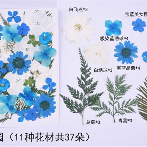 新品干花材料包压花diyr手机壳相框装饰幼儿园手工书签娟扇台灯di