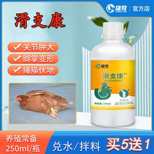 滑支康鸡鸭鹅关节脚趾肿大腿瘸瘫痪滑液囊支原体养鸡专用鸡病禽用