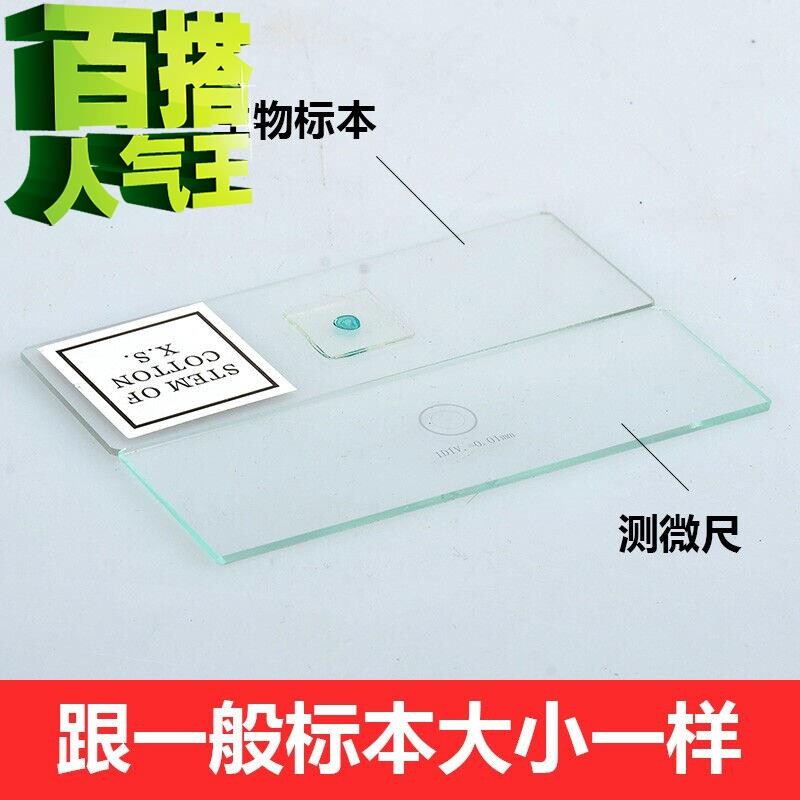 配件9生物显微镜物镜平台测微尺刻度圆形标定分划板测量定标0.01m