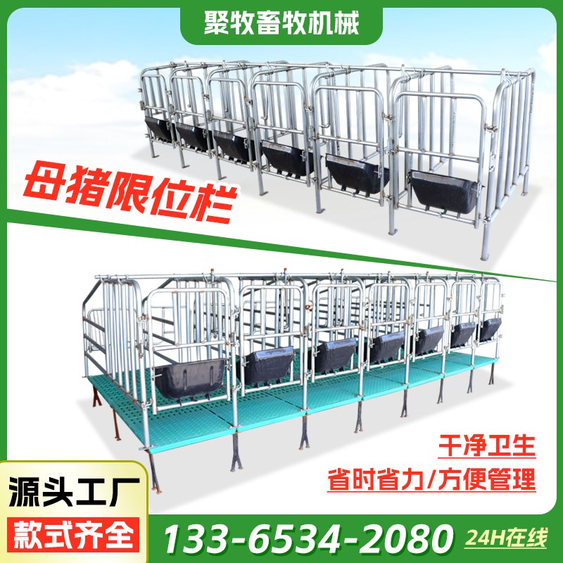 母猪定位栏猪用落地式产床围栏猪圈带漏粪板养殖设备猪产床保育床