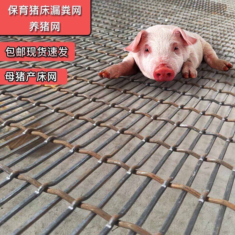 猪床网养猪漏粪网母猪产床铁丝网漏粪板保育育肥床产床网养殖设备