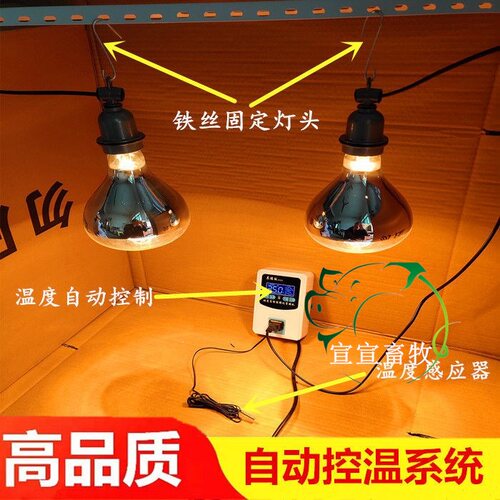 保温灯 小鸡保温灯 鸡鸭鹅自动控温箱H 养殖用加热灯取暖灯育雏箱