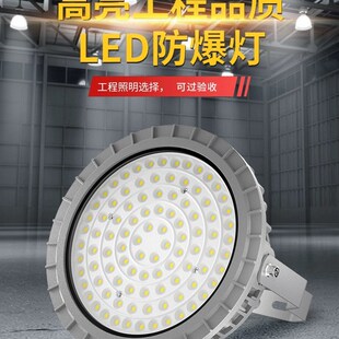LED防爆灯工矿灯仓房q工厂车间化工厂隧道大功率照明灯罩棚灯超亮