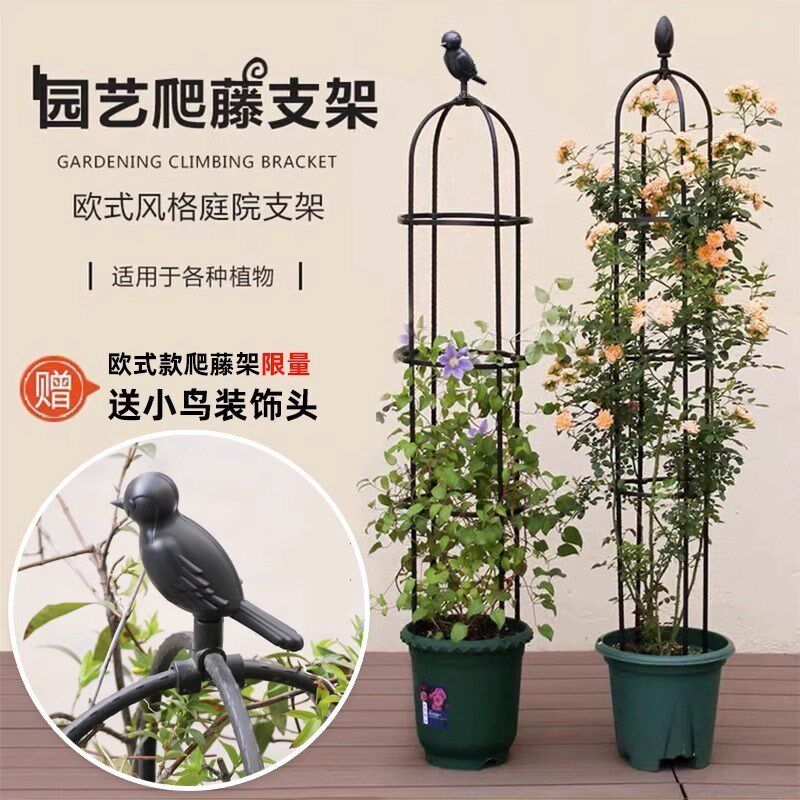 铁艺花爬架玫瑰月季花柱架铁线莲藤架攀藤植物架子花盆支架杆鸟笼