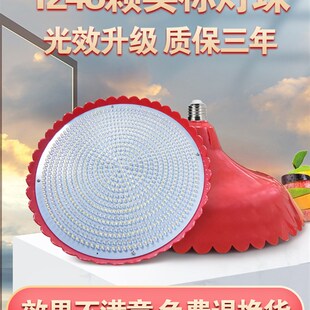 鸿途卖冷鲜肉专用水果led生鲜灯猪肉超亮熟食买肉摊海鲜市场加大