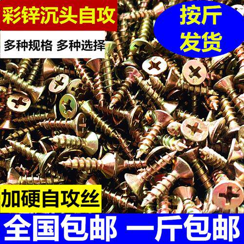 自攻螺丝钉 平头十字螺钉螺旋钉子沉头板钉铁钉木工工具装修装饰