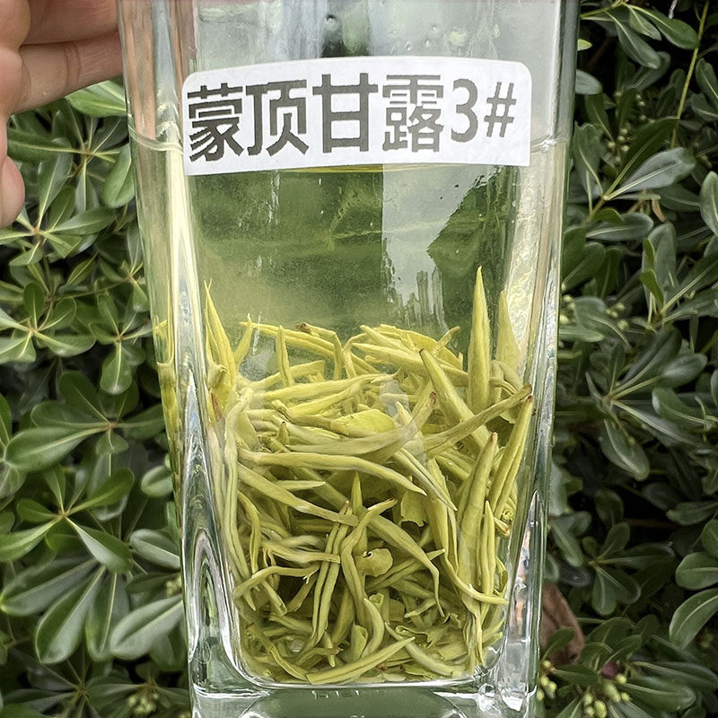2026新茶明前四川蒙顶甘露绿茶