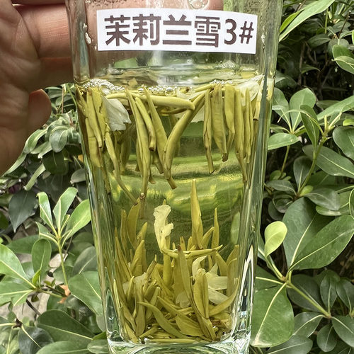 四川雅安茉莉花茶银针飘雪