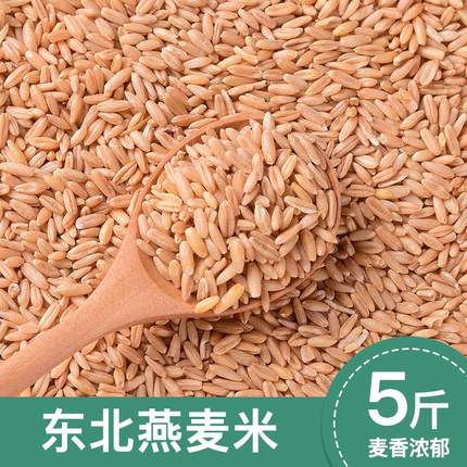 2023年新燕麦米新米三主粮胚芽生燕麦米粗粮糙米五谷杂粮5斤