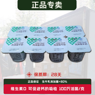 蒙牛配餐杯酸奶way味来原味风味酸牛奶航空90g