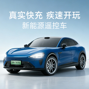 百乐森新能源遥控车儿童男孩仿真模型车手柄遥控智能玩具