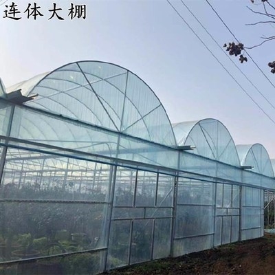极速牧大鹏骨架易搭建农业用铁管保温钢H管N棚架镀锌管蔬菜大棚连