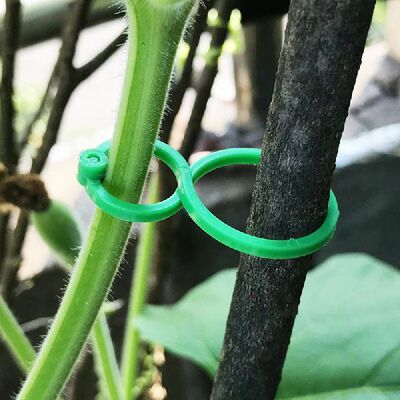 极速100pcs Gardeln Buckle Garden Clip Grafting Clip Gardenin