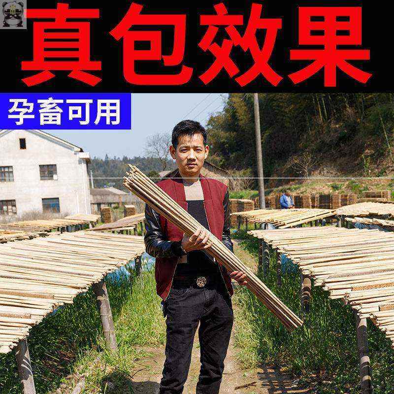 极速家用蚊蝇香蚊香王畜牧养殖场孕妇蚊香盘灭蝇苍蝇W香非无毒驱,畜牧/养殖物资,养殖场蚊香棒/蝇香,淘宝优惠券,粉丝福利购,淘宝优惠卷